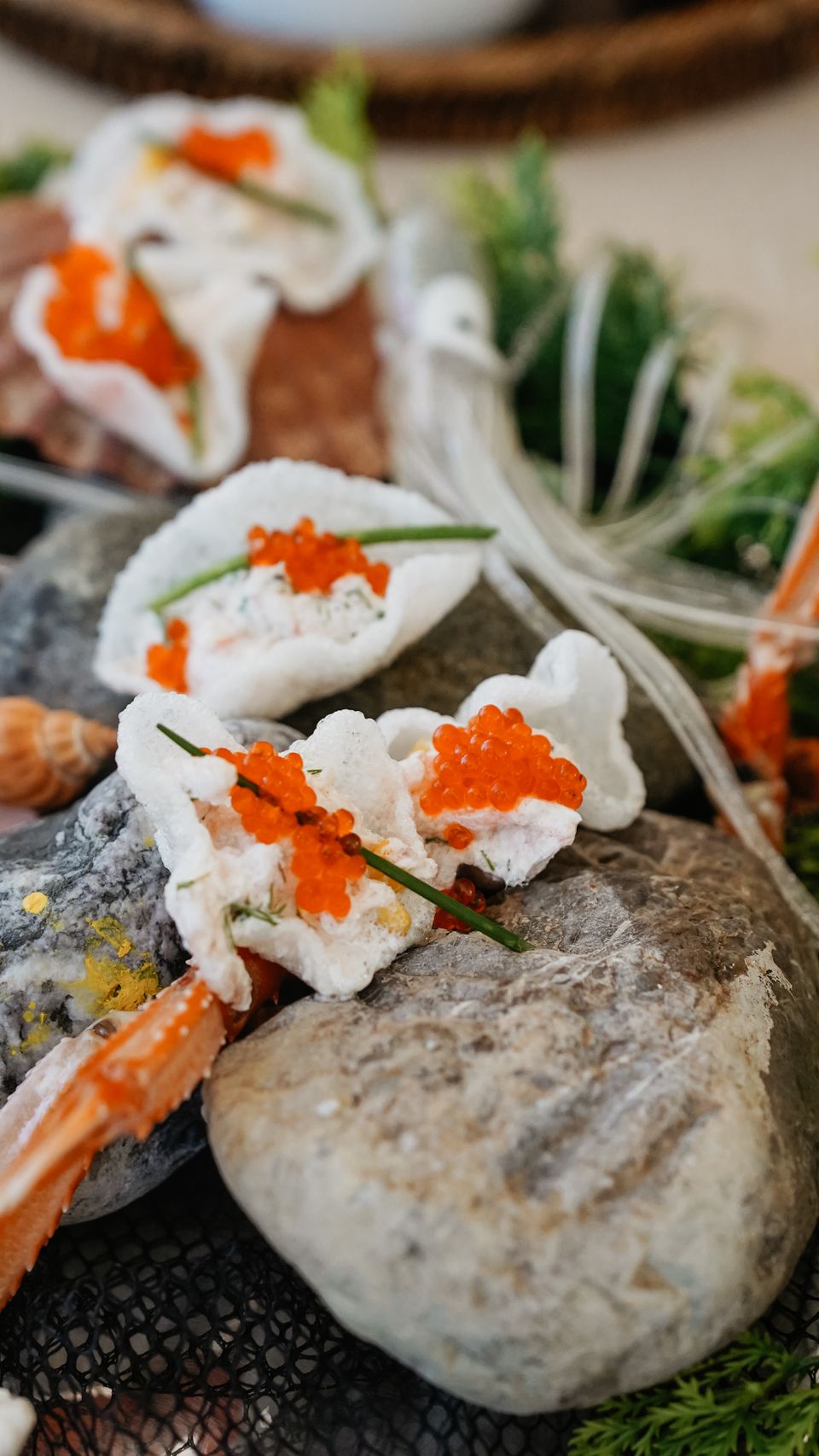 Fresh seafood appetizers